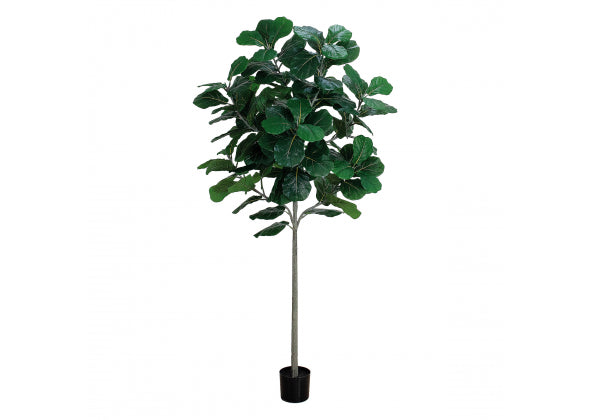 Ficus artificiale in vaso per decorazione