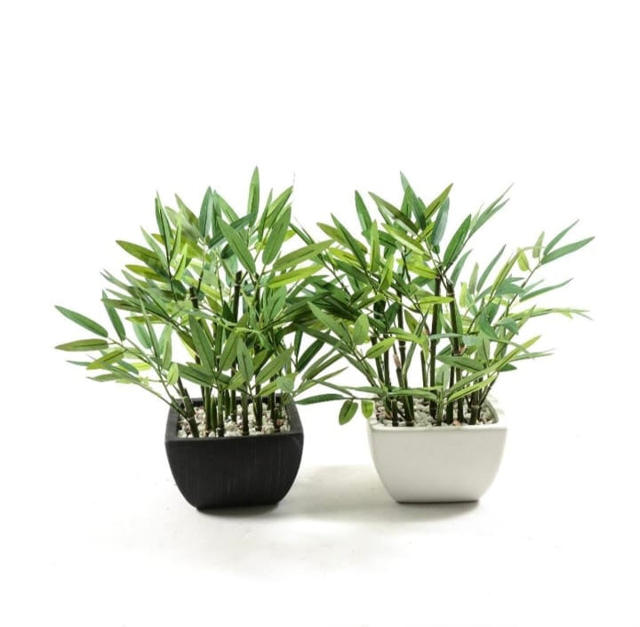 PIANTA BAMBOO IN PLASTICA IN VASO