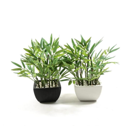 PIANTA BAMBOO IN PLASTICA IN VASO