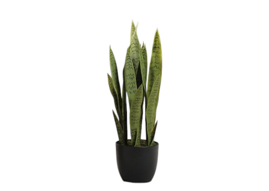 Sansevieria artificiale in vaso per decorazione